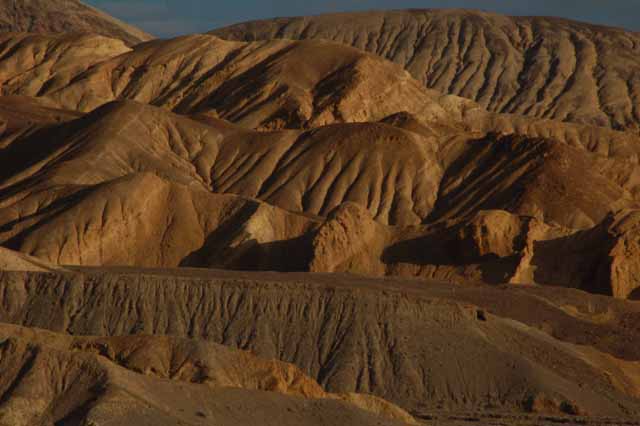 golden hills